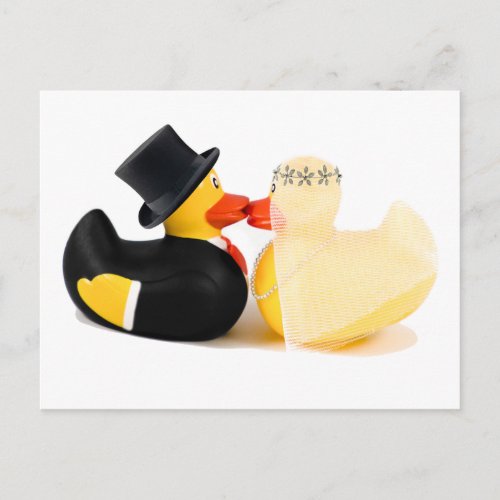 Wedding ducks 3 postcard