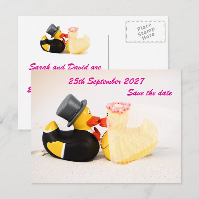 Wedding ducks beach wedding ... Postcard (Front/Back)