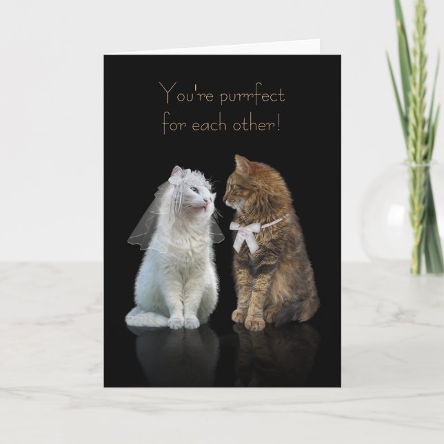 Wedding / Engagement Congratulation for Cat Lovers Card (Front)