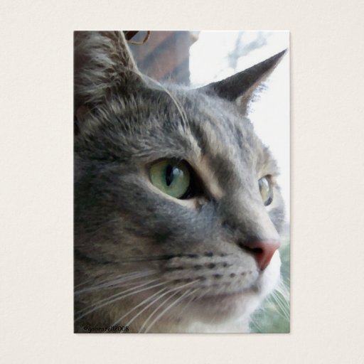 Customizable Wedding Favor (Sample) Card Business Cards