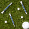 WEDDING FAVORS CUSTOM MONOGRAM NAME DATE GOLF TEES