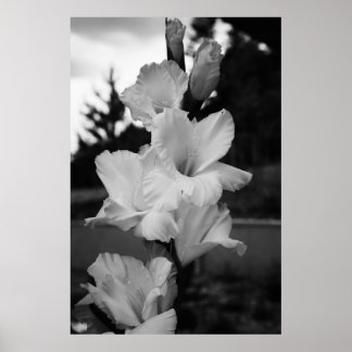 Wedding flower poster