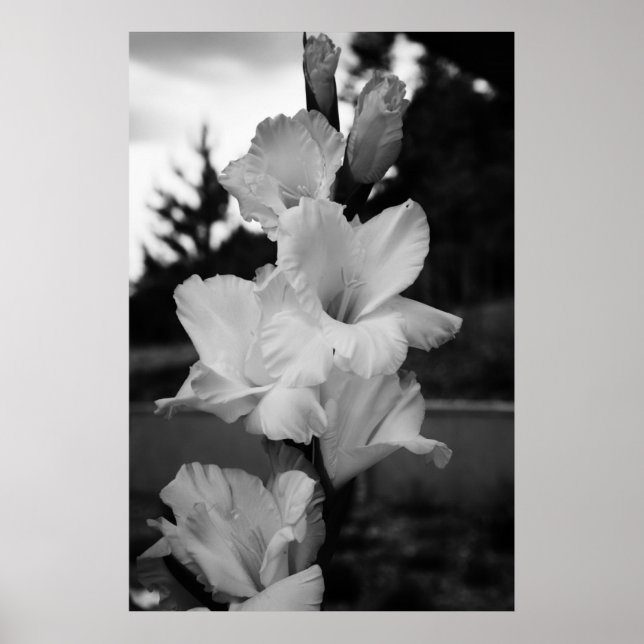 Wedding flower poster (Front)