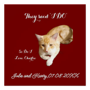 Wedding Ginger Cat Photo Text Customize Poster