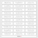Wedding Guest Names &  Address Modern Chic Fun Sticker<br><div class="desc">Composed of simple sans serif and playful script typography. These elements are simple,  elegant,  and modern. This has 30 smaller stickers in a sheet. 
 
 This is designed by White Paper Birch Co. exclusive for Zazzle.
 
 Available here:
 http://www.zazzle.com/store/whitepaperbirch</div>