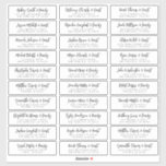 Wedding Guest Names Address Simple Modern Chic Sticker<br><div class="desc">Composed of simple sans serif and modern serif typography. These elements are simple,  elegant,  and modern. This has 30 stickers. 
 
 This is designed by White Paper Birch Co. exclusive for Zazzle.
 
 Available here:
 http://www.zazzle.com/store/whitepaperbirch</div>
