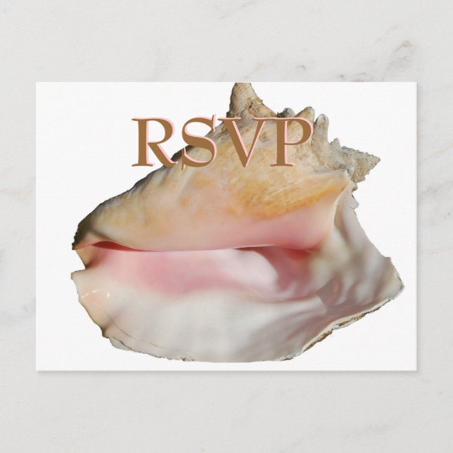 Wedding Guests RSVP Conch Seashell Invitation Postcard (Front)