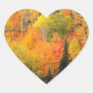 Wedding Hearts Fall Weddings Autumn Weddings Seals