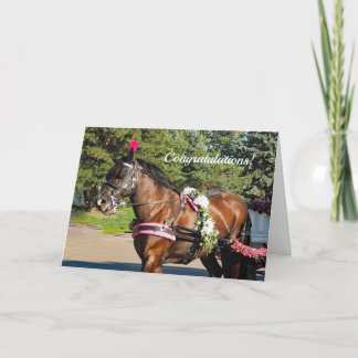 Wedding Horse Congratulations Wedding Card