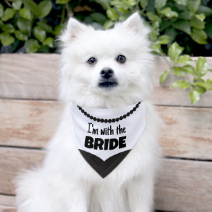 Wedding I'm With the Bride Dog Pet Bandana Collar