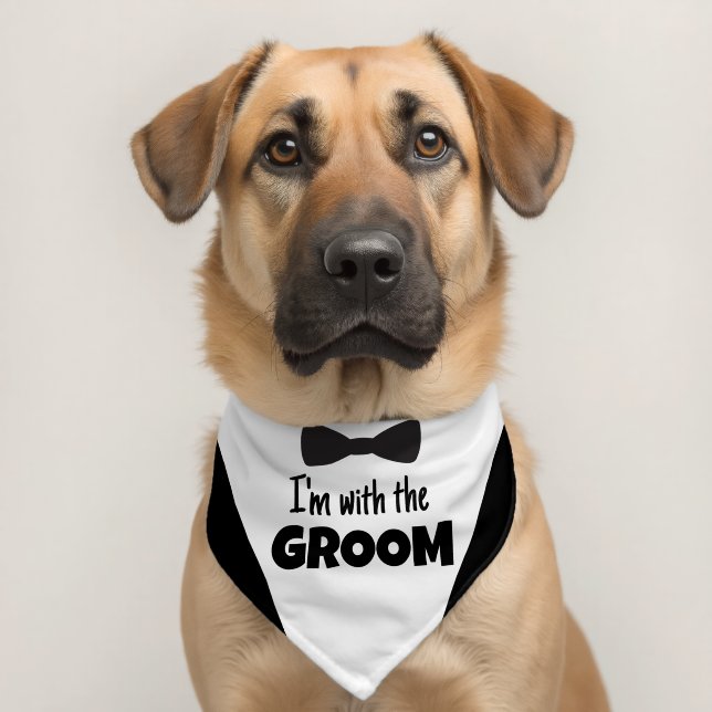 Wedding I'm with the Groom Dog Pet Bandana Collar (Dog 2)