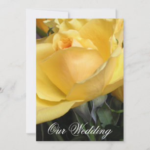 Wedding Invitations