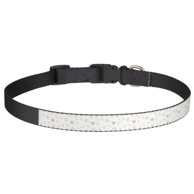 Wedding Joy Pet Collar (Front)