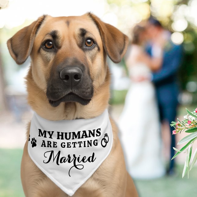 Wedding My Humans Are Getting Married Dog Pawprint Pet Bandana Collar (Creator Uploaded)