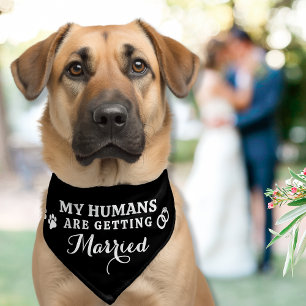 Wedding My Humans Are Getting Married Dog Pawprint Pet Bandana Collar