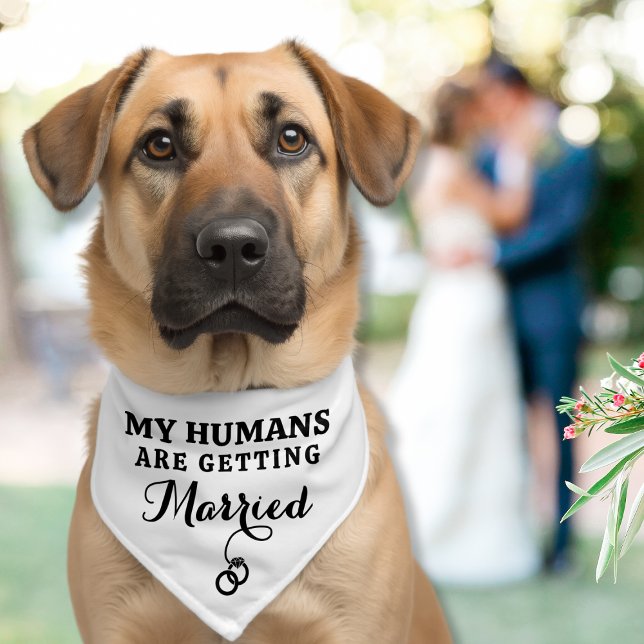 Wedding My Humans Are Getting Married Dog Pet Bandana Collar (Creator Uploaded)