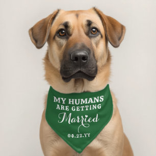 Wedding My Humans Are Getting Married Personalized Pet Bandana Collar