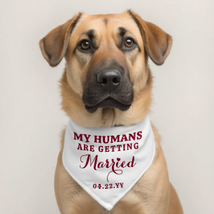 Wedding My Humans Are Getting Married Personalized Pet Bandana Collar