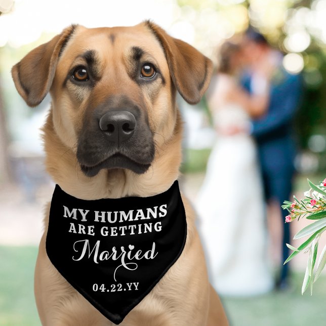 Wedding My Humans Are Getting Married Personalized Pet Bandana Collar (Creator Uploaded)