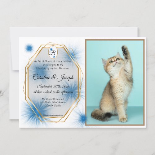 Wedding Pet Photo  Tag with Blue Tuft of Fur Inv Invitation