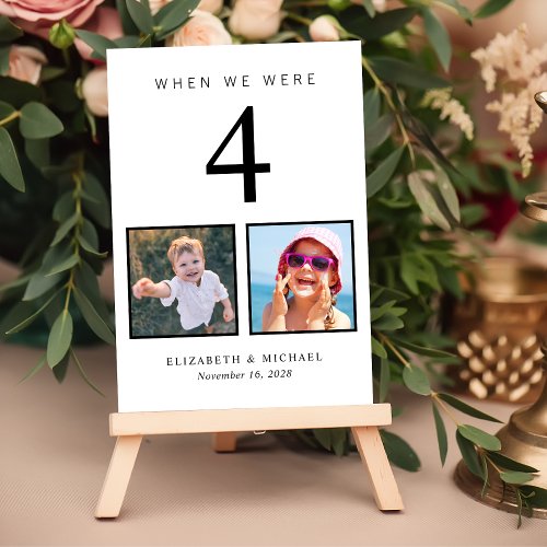Wedding Photo Fun Table Number