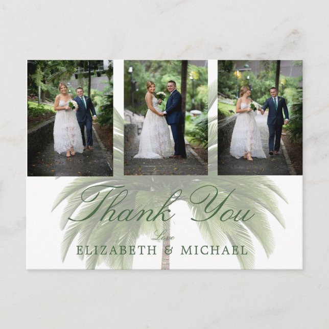 Wedding Photo Thank You Palm Tree Elegant Modern Postcard (Front)