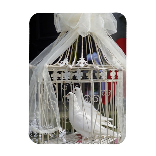 Wedding pigeon waiting for bride magnet (Vertical)