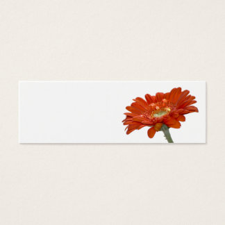 Wedding Place Name Card - Orange Daisy Gerbera