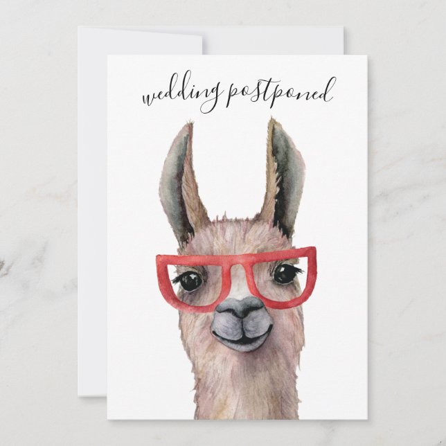 Wedding Postponed Funny Lllama Date Change Invitation (Front)