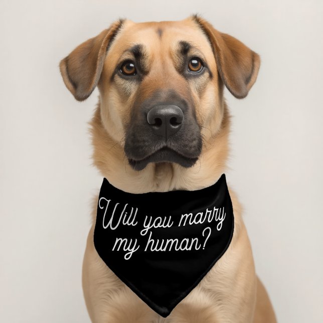 Wedding Proposal Cute Black Script Dog Pet Bandana Collar (Dog 2)