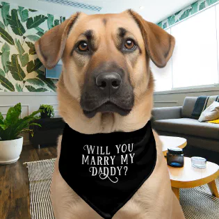 Wedding Proposal Marry Me Fun Way to Ask Pet Bandana Collar