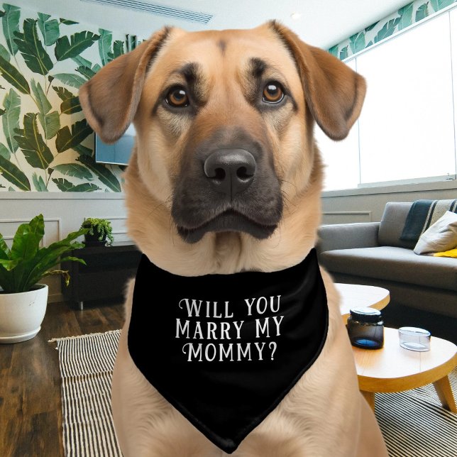 Wedding Proposal Marry Me Fun Way to Ask Pet Bandana Collar (Wedding Proposal Marry Me Fun Way to Ask Pet Bandana Collar by Ricaso. Ask if they will marry you.)