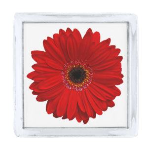 Wedding Red Gerbera Gerber Daisy Flower Silver Finish Lapel Pin