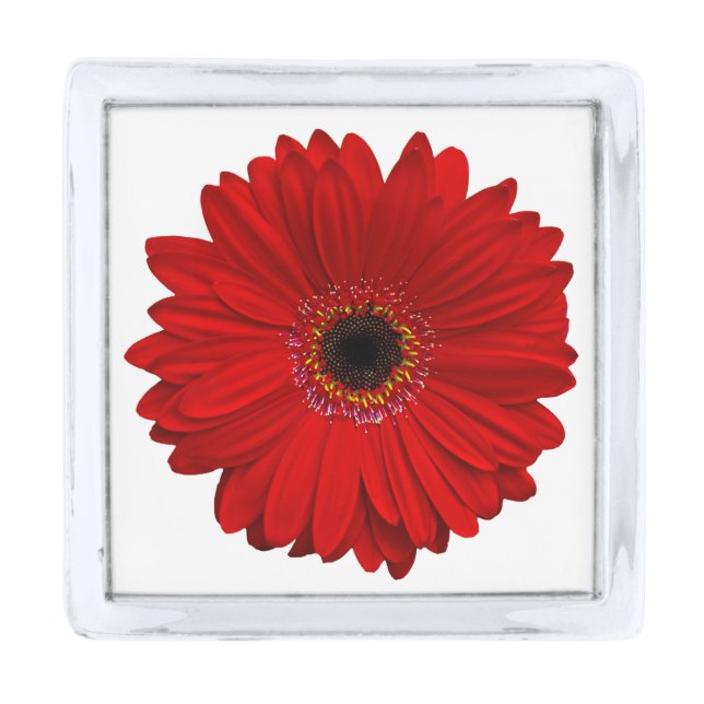 Wedding Red Gerbera Gerber Daisy Flower Silver Finish Lapel Pin (Front)