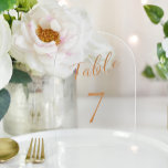 Wedding rose gold elegant acrylic table number<br><div class="desc">Modern trendy faux rose gold foil elegant calligraphy script wedding reception acrylic clear transparent (or frosted opaque) table card. PLEASE NOTE that you can choose between rectangular or arch shapes. To order different numbers you need to customize them and put them in the shopping cart one by one (one card...</div>