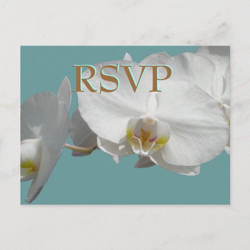 Wedding RSVP White Orchids Invitation Postcard