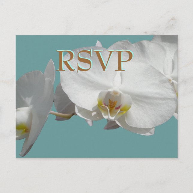 Wedding RSVP White Orchids Invitation Postcard (Front)