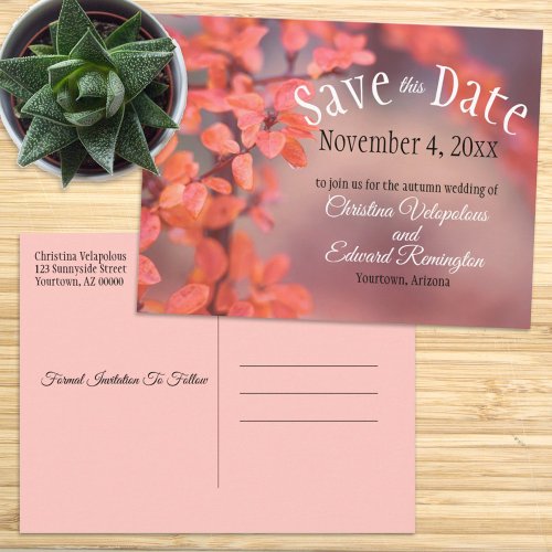 Wedding Save The Date Autumn Leaves Bokeh Framing Postcard