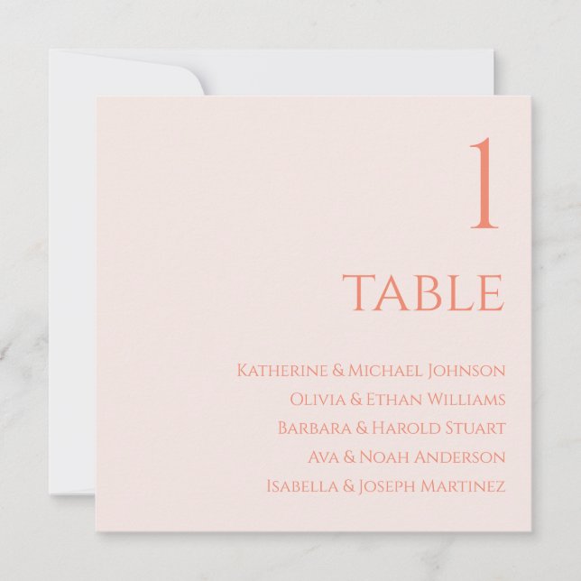 Wedding Seating Chart- Blush Invitation (Front)