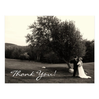 Wedding Thank you Postcard