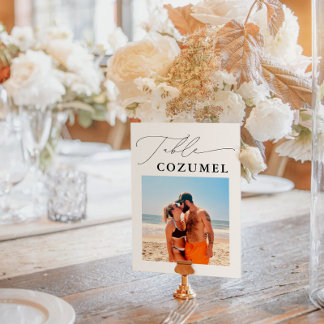 Wedding Travel Adventure Photo Table Number