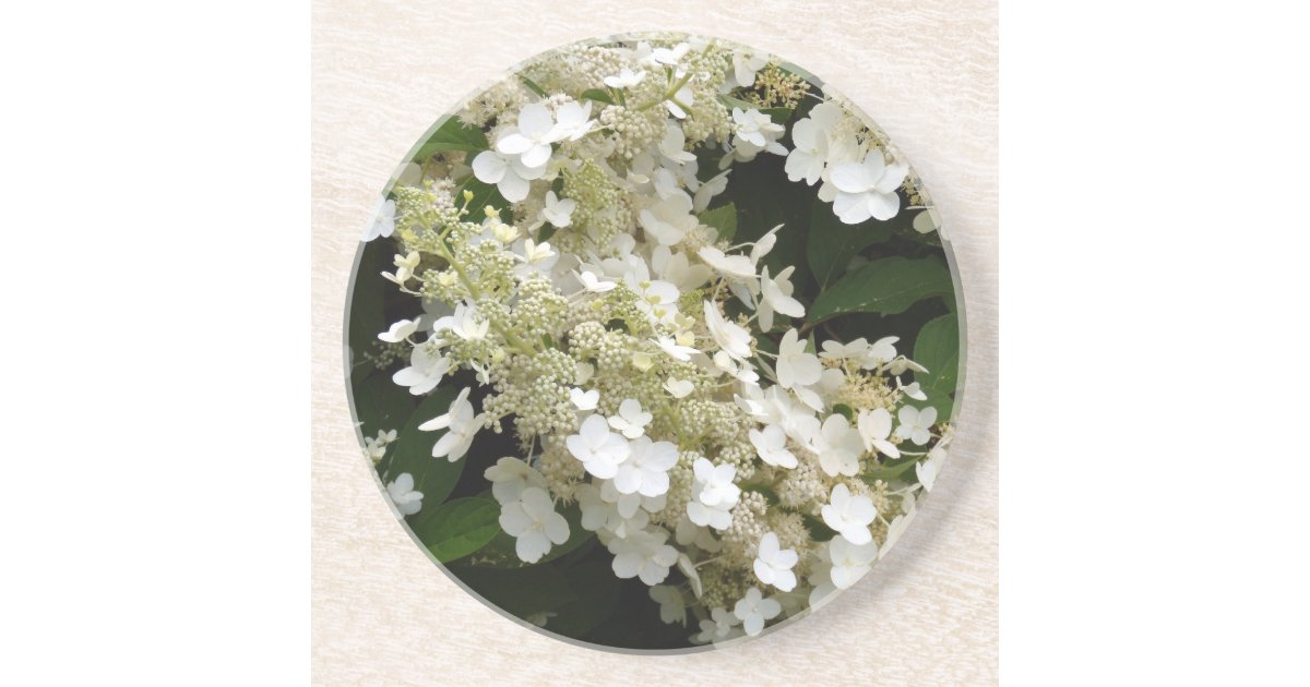 Wedding Veil Hydrangea Sandstone Coaster Zazzle