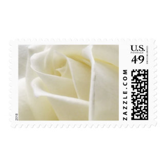Wedding White Rose Postage