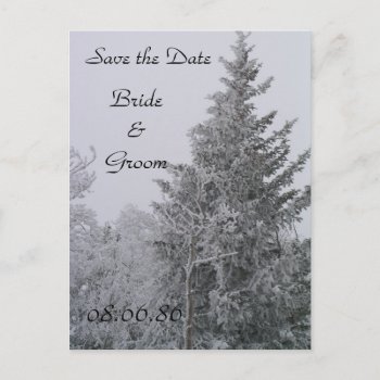 Wedding Winter Pine Tree Postcard by ChristyWyoming at Zazzle