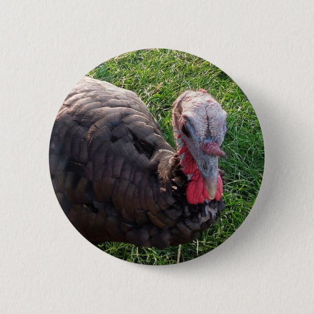 Wedrose Acres button 1 (Front)