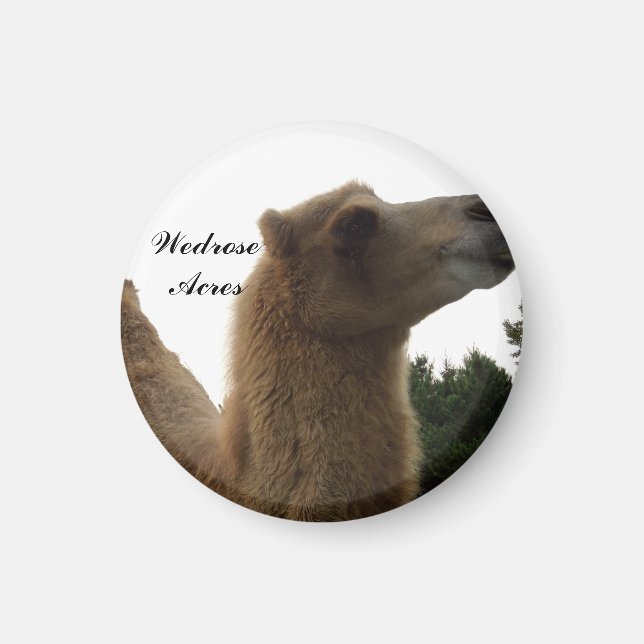 Wedrose Acres camel magnet (Front)