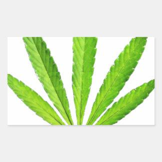 WEED LEAF RECTANGULAR STICKER