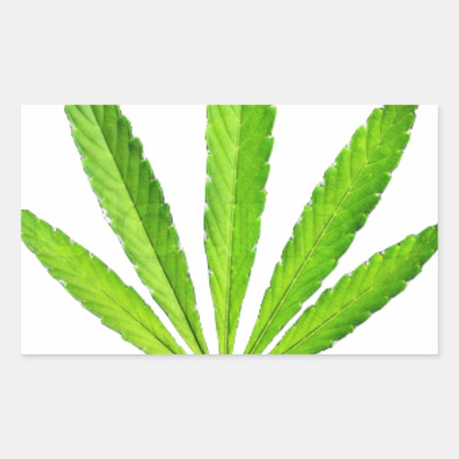 WEED LEAF RECTANGULAR STICKER (Front)