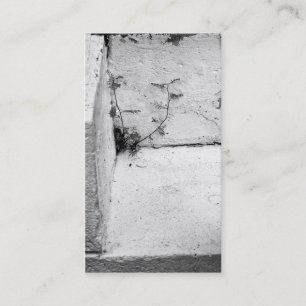 Weed on Concrete Steps Business Card