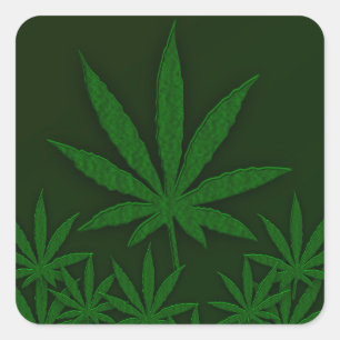 Weed Square Sticker